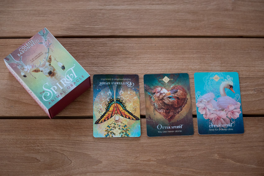 orakelkort af colette baron-reid sat i relation til de numerologiske energier i januar måned, numerologi Zoey Elinor, the spirit animal oracle