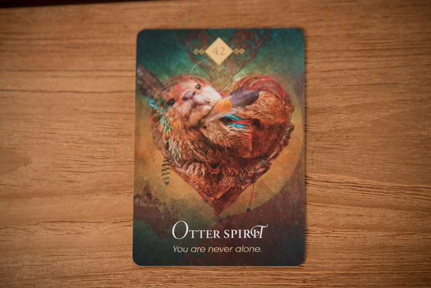 orakelkort af colette baron-reid sat i relation til de numerologiske energier i januar måned, numerologi Zoey Elinor, the spirit animal oracle
