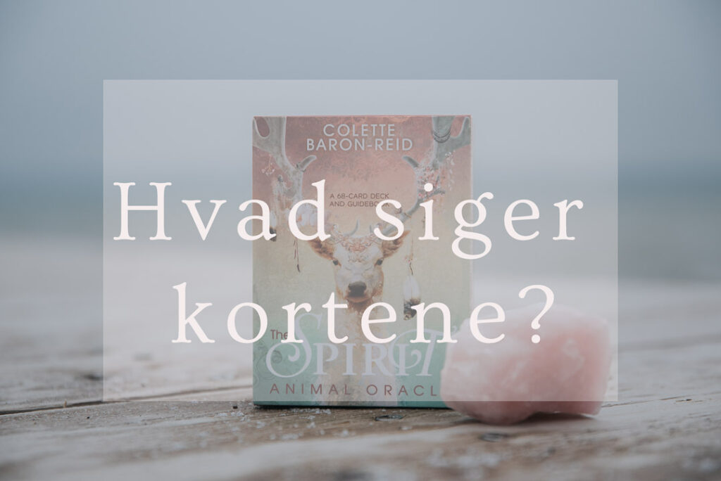 Numerologi og orakelkort tapper ind i den samme energi, og derfor kan kortene fortælle om om hvad vi skal lære denne måned.
