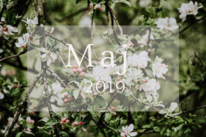 maj 2019, numerologisk energi, numerologi, numerologisk prognose