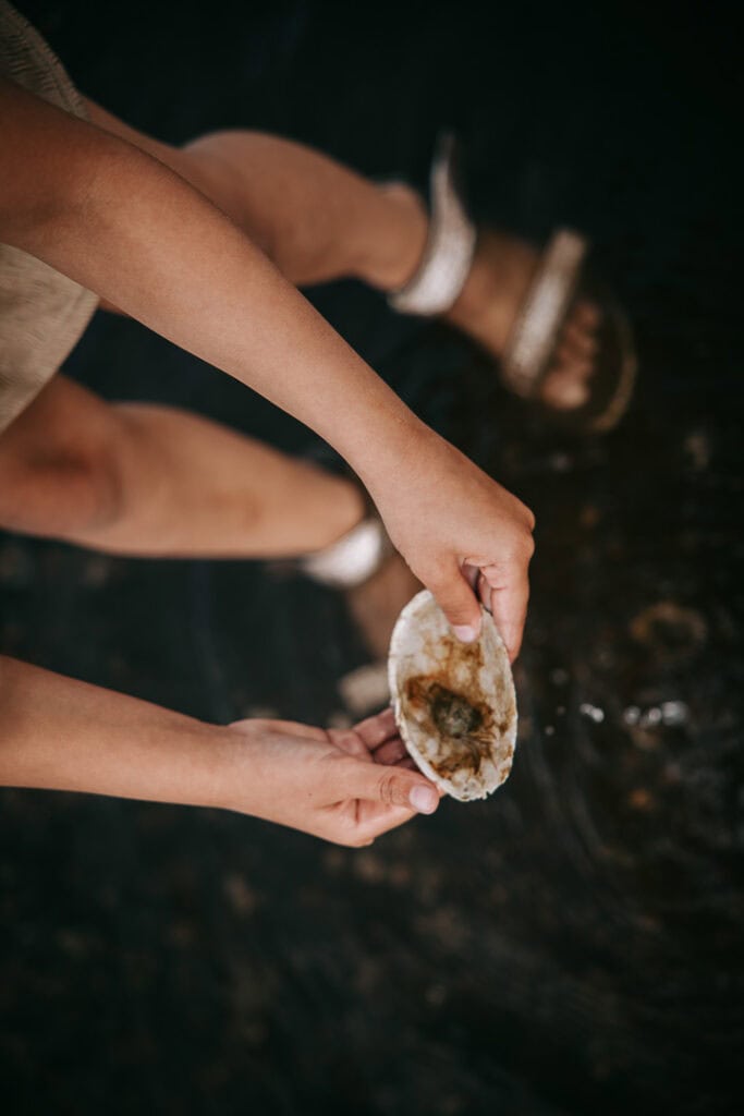 Børnehænder holder muslingeskal – børnefotografering ved stranden i Lemvig.