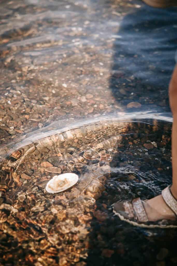 Barn kigger på musling i vandkanten – autentisk børnefotografering ved stranden i Struer.