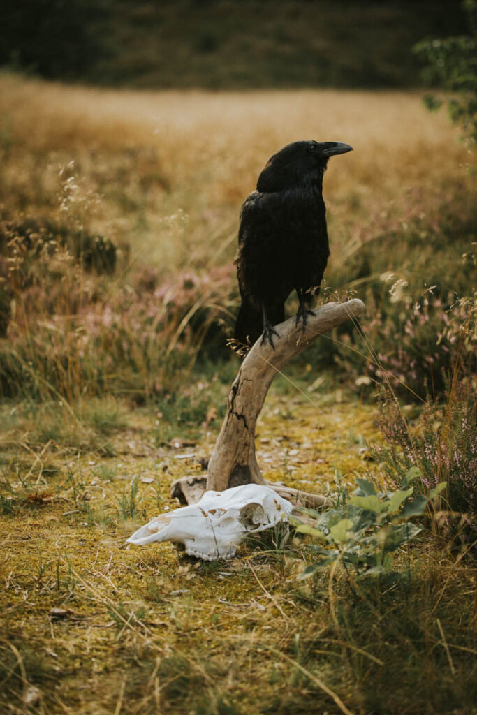 rekvisitter til Stemningsfuld fotografering i naturen med brug af røg og lys, skabt af Zoey Elinor.